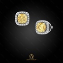 Stud Earring - 11078