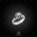 Ring -13173