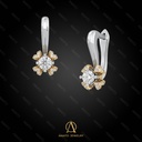Earring - 13656