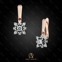 Earring - 13682