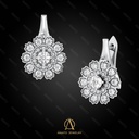 Earring - 13696