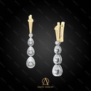Earring - 13699