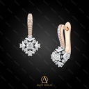 Earring - 13763