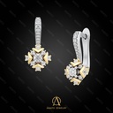 Earring - 13763