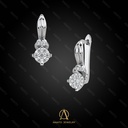 Earring - 13793