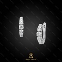 Earring - 13811