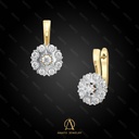 Earring - 13769